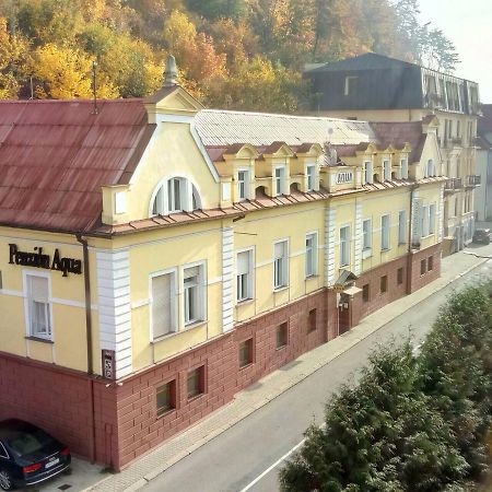 Penzion Aqua Trencianske Teplice Exterior photo